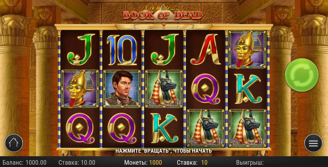 Book of Dead slot game
